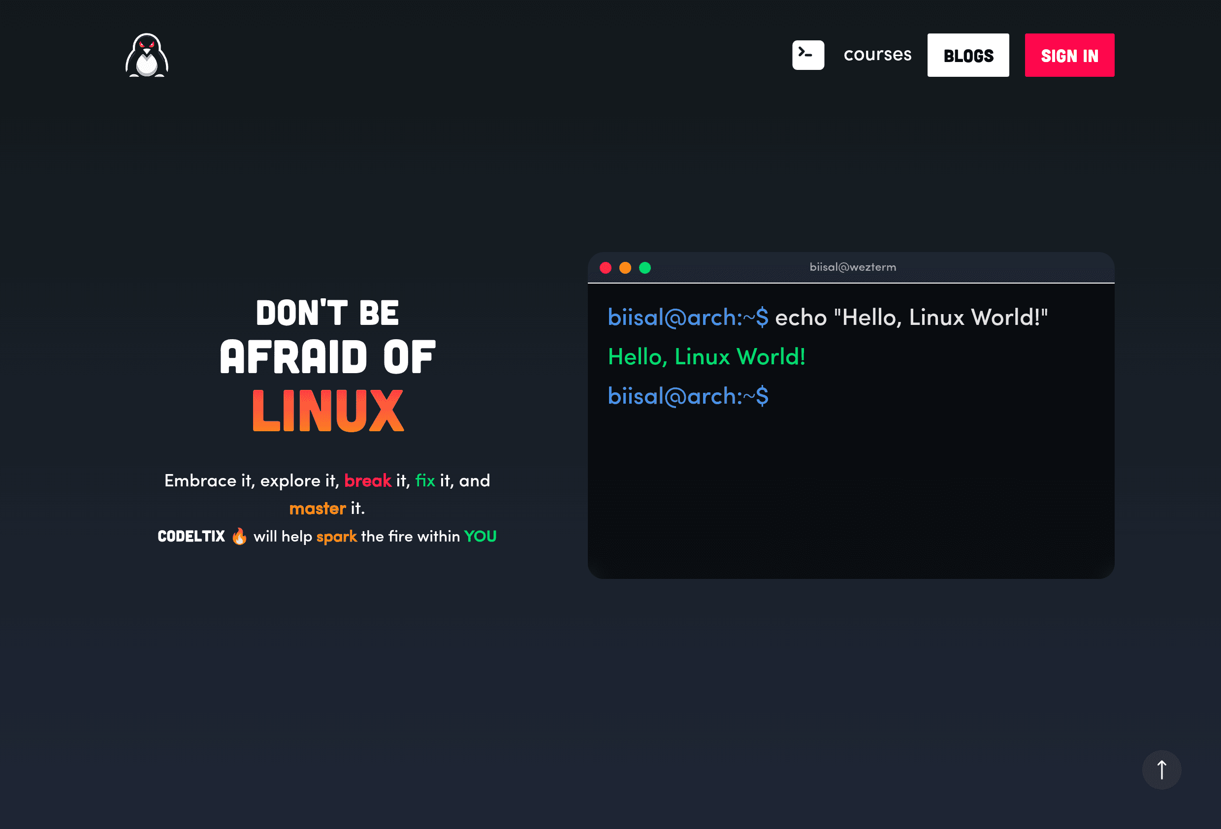 Codeltix - Linux learnig platform with live terminal
